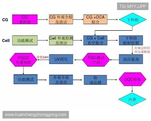 足球比赛直播拍摄的幕后揭秘与技术解析全流程详解